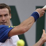 gulbis